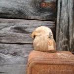 Primitive Bald Eagle with R..