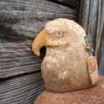 Primitive Bald Eagle with R..