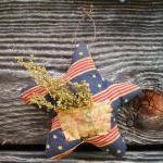 Primitive Americana Star - ..