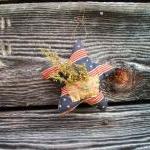 Primitive Americana Star - ..