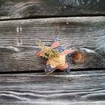 Primitive Americana Star - ..