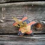 Primitive Americana Star - ..