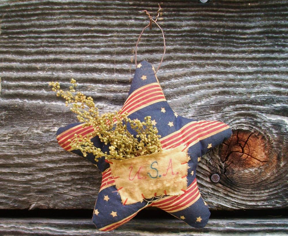 Primitive Americana Star - July 4 Decoration with Sweet Annie - Wall Hanging or Ornament
