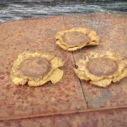 Primitive Sunflower Bowl Fillers, Ornaments or Craft Project Supply - Three Large Size